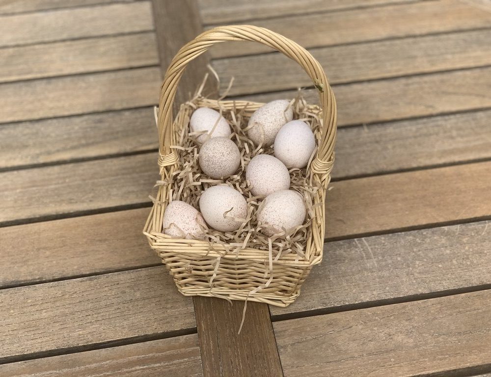 basket of eggs
