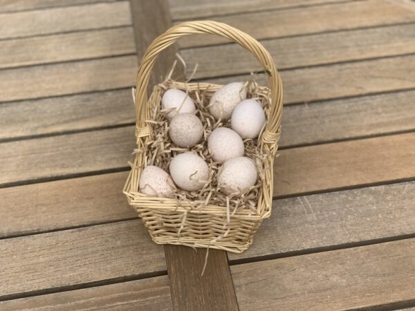 basket of eggs